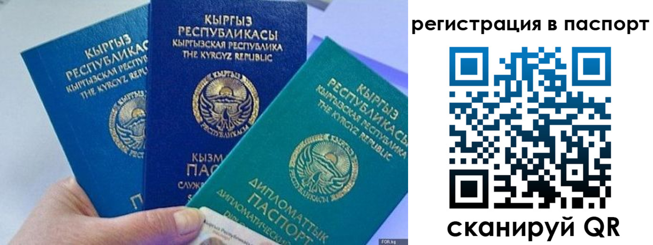 прописка 2025 в Арсеньеве